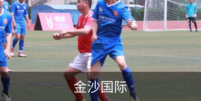 金沙国际介绍
